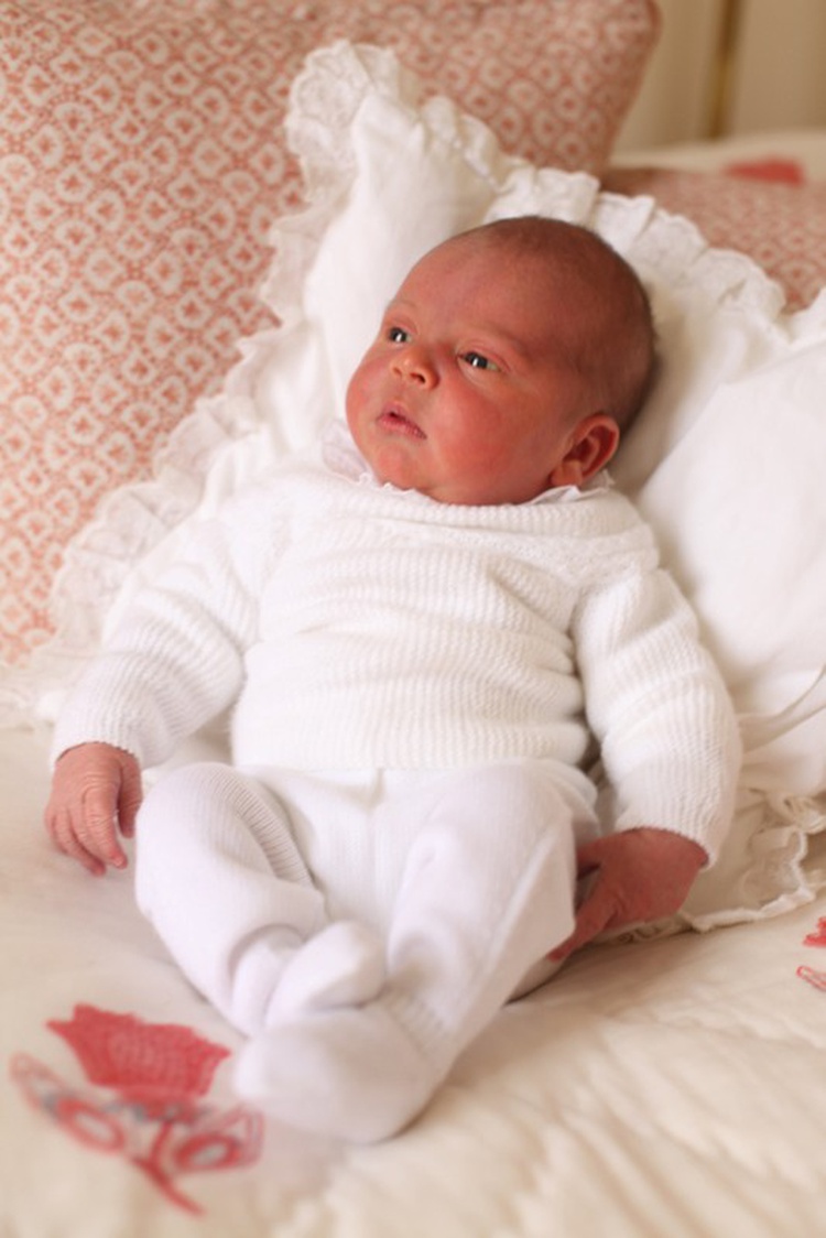 principe-louis principe-louis