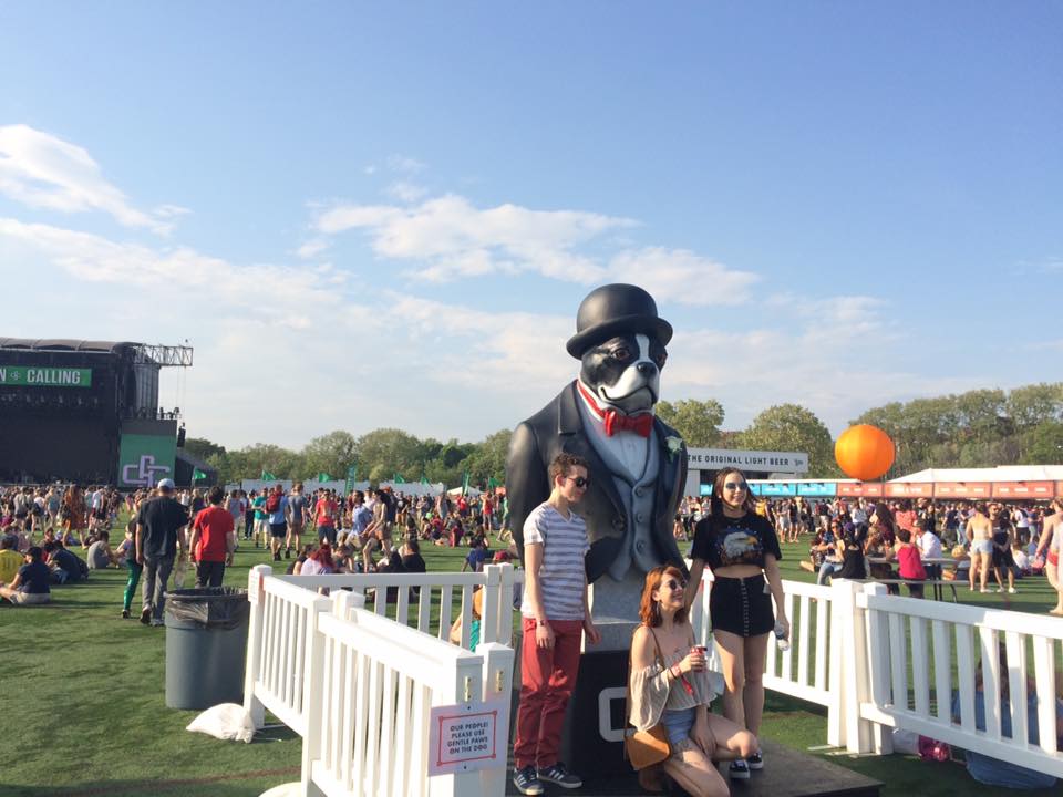 boston-calling-cachorro