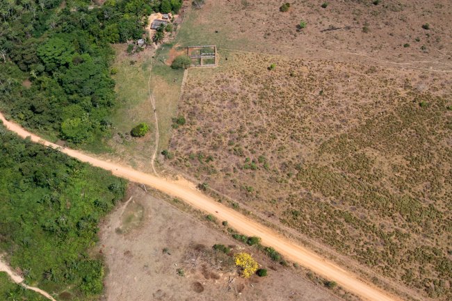 É o fim do orgulho nacional? Entenda o que está acontecendo com a Amazônia