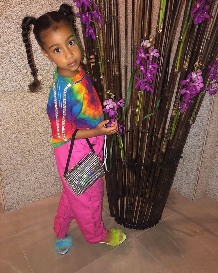 North West usando look colorido com blusa tie-dye, cabelo preso em trança posando ao lado de flores roxas