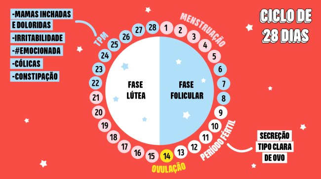 Menstruação: Guia completo de como funciona o ciclo menstrual tabela mostrando as fases do ciclo menstrual
