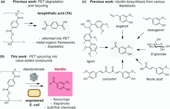 Imagem da transformação química do PET em aroma de baunilha