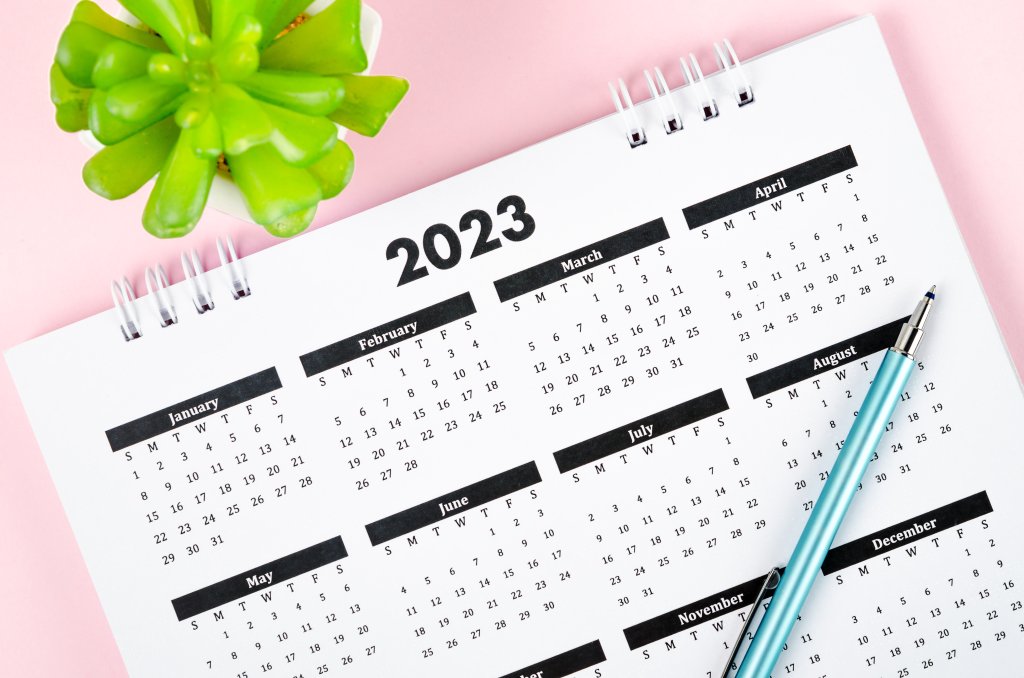 Calendário de mesa de 2023 sobre uma bancada rosa bebê. Ao lado dele, tem um planta suculenta bem verdinha