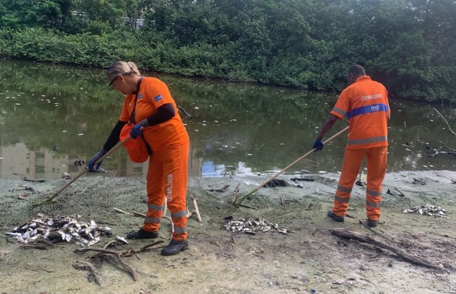 O que causou a morte de seis toneladas de peixes na Lagoa de Marapendi? O que causou a morte de seis toneladas de peixes na Lagoa de Marapendi?