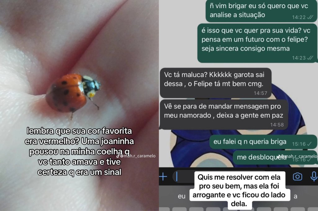 prints de um vídeo viral do tiktok