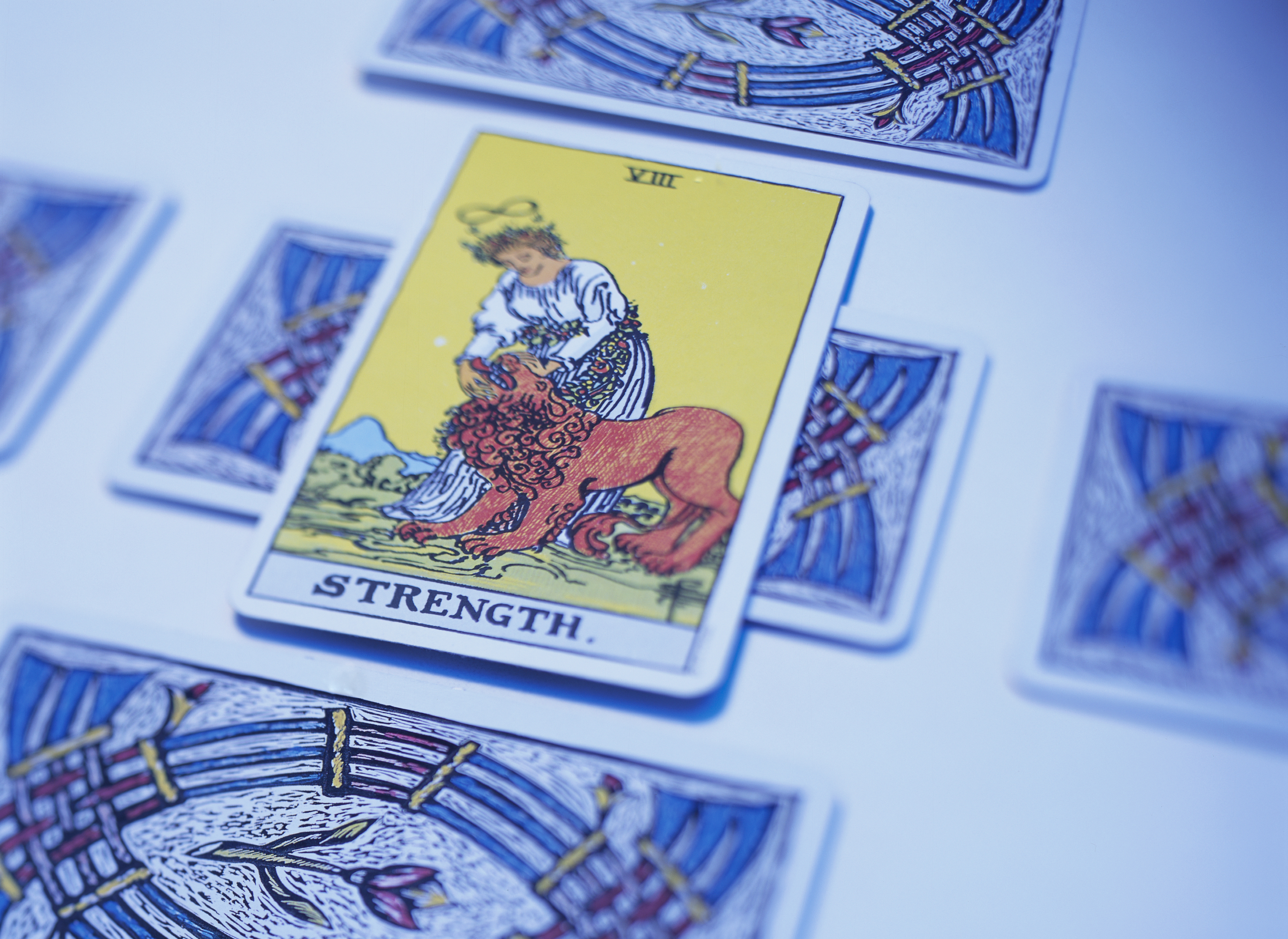 tarot a força carta arcano