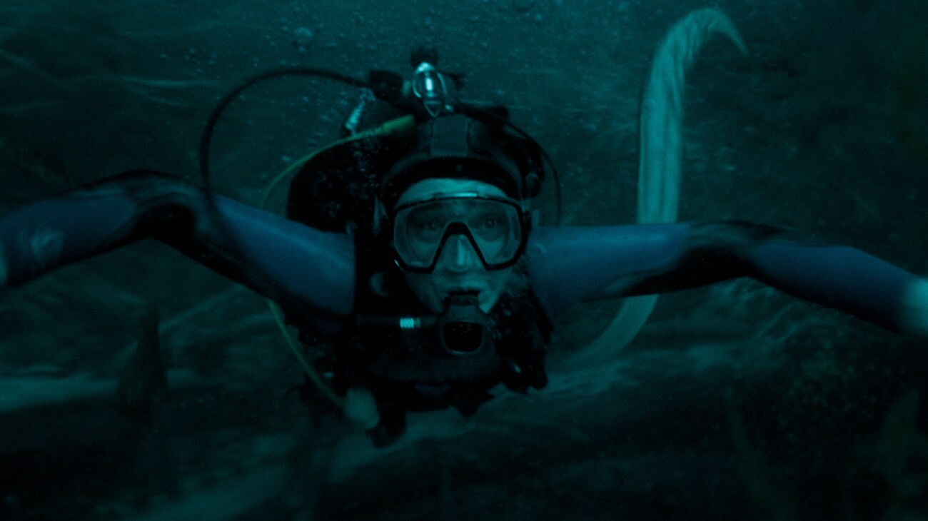 whalefall